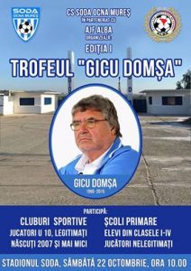 GICU DOMȘA