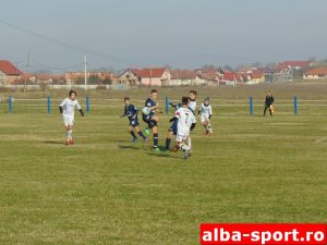 DSC06079